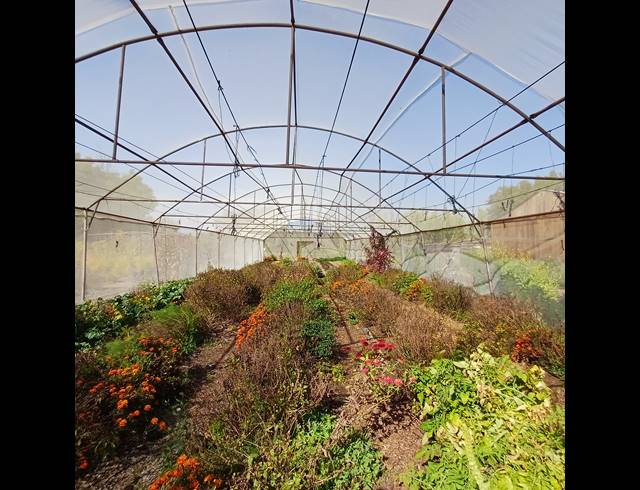 8.50HA FARM FOR SALE IN NOOITGEDACHT AH